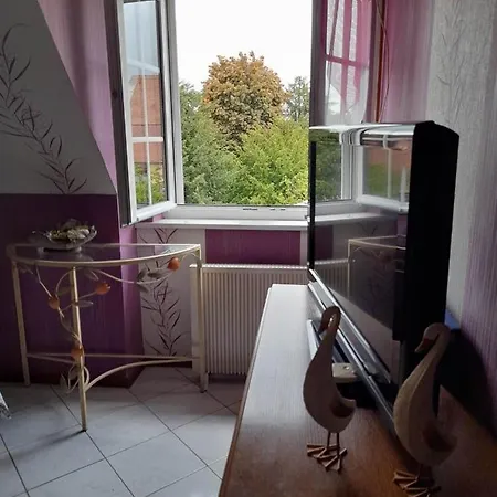 Apartamento Le Jardin De Hermolsheim. Alsace Tres Spacieux *