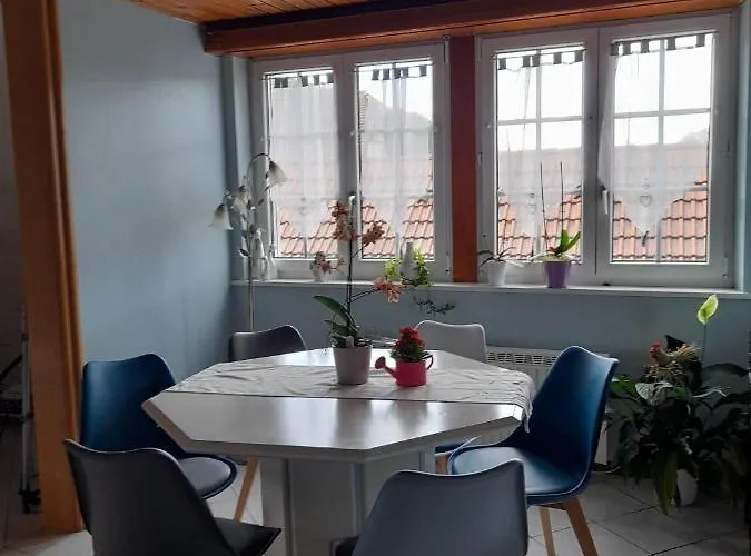 Apartment Le Jardin De Hermolsheim. Alsace Tres Spacieux
